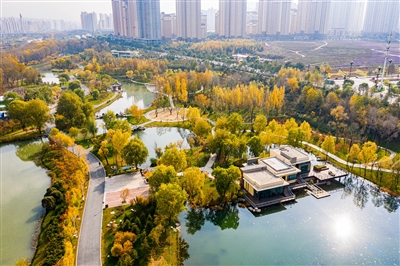 2189978_448172.jpg
